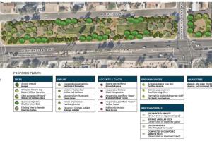 Site 418B: Chandler Boulevard and Country Club Way  | Plant Legend