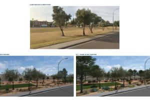 Site 418B: Chandler Boulevard and Country Club Way | Projected Plant Growth Year 1 and 5