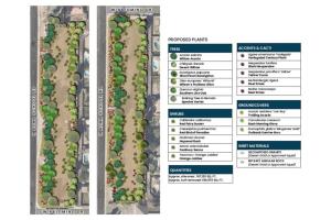 Site 108: Alma School & Palomino Drive  | Plant Legend