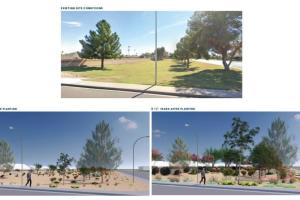Site 108: Alma School & Palomino Drive | Projected Plant Growth Year 1 and 5
