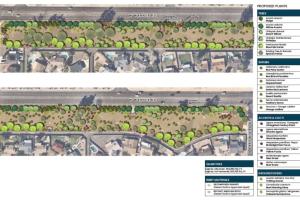 Site 119: Warner Raod & Pennington Drive | Plant Legend