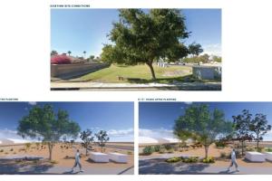 Site 119: Warner Road & Pennington Drive | Projected Plant Growth Year 1 and 5