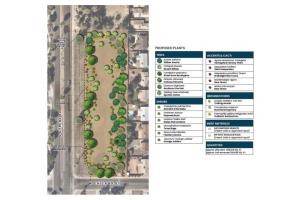 Site 416A: Kyrene Road & Chicago Street | Plant Legend