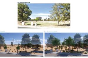 Site 416A: Kyrene Road & Chicago Street | Projected Plant Growth Year 1 and 5