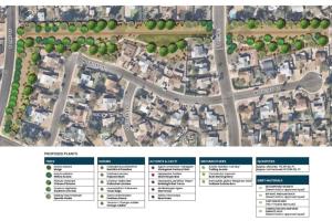 Site 416B: Oak Street & Folley Street | Plant Legend
