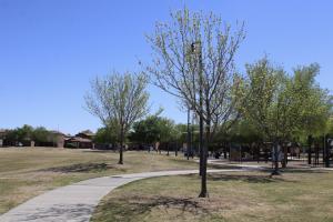 Sidewalk at Arbuckle Park