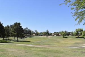 Field at Arrowhead Park