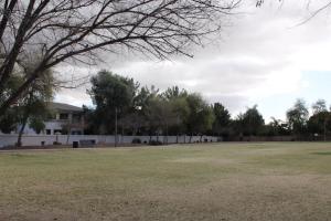 Field at Blue Heron Park