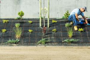 Certified Landscape Professional