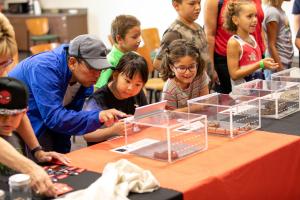 chandler nature center reptile class