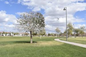 Walking trail at Chuparosa Park