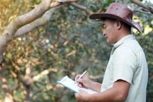 Consulting Arborist
