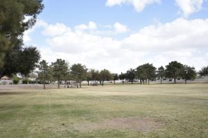 Field at Dobson Park