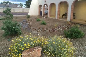 Glendale Rain Garden Slowing Water