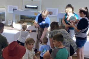 chandler nature center snake exhibit