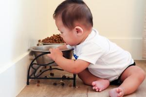 infant playing in dog bowl