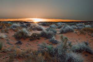 Second place Kara H northern arizona desert landscape