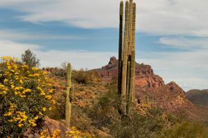 Second place Kara H spring in the desert 
