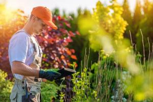 Landscape Contractor