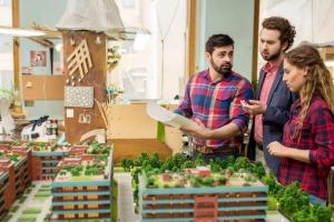 Landscape Designer