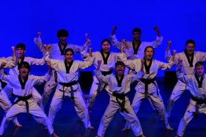 Martial Arts
