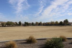 Field at Meadowbrook Park