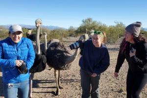 media crew with ostriches