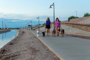 Two Women Walking Their Dogs On Paseo Trail Path