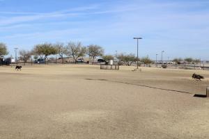 Dog park at Paseo Vista Recreation Area