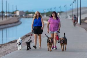 Improvements to expansion of shared use paths and trails, such as Paseo Trail