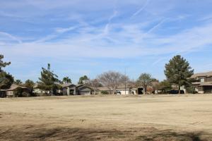 Field at Pinelake Park