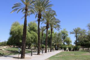 Walking trail at San Marcos Park