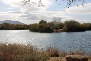 Community Fishing Lake At Veterans Oasis Park