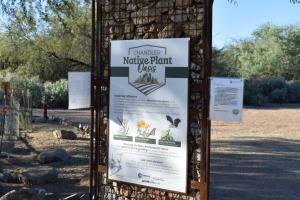 Native Plant Oasis At Veterans Oasis Park