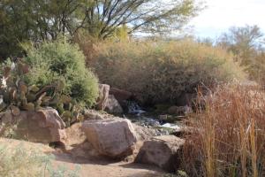 Waterfall At Veterans Oasis Park