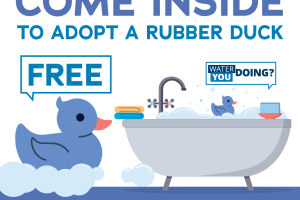 water you doing adopt a duck