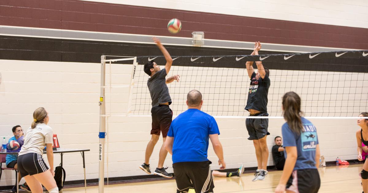 Adult volleyball shop