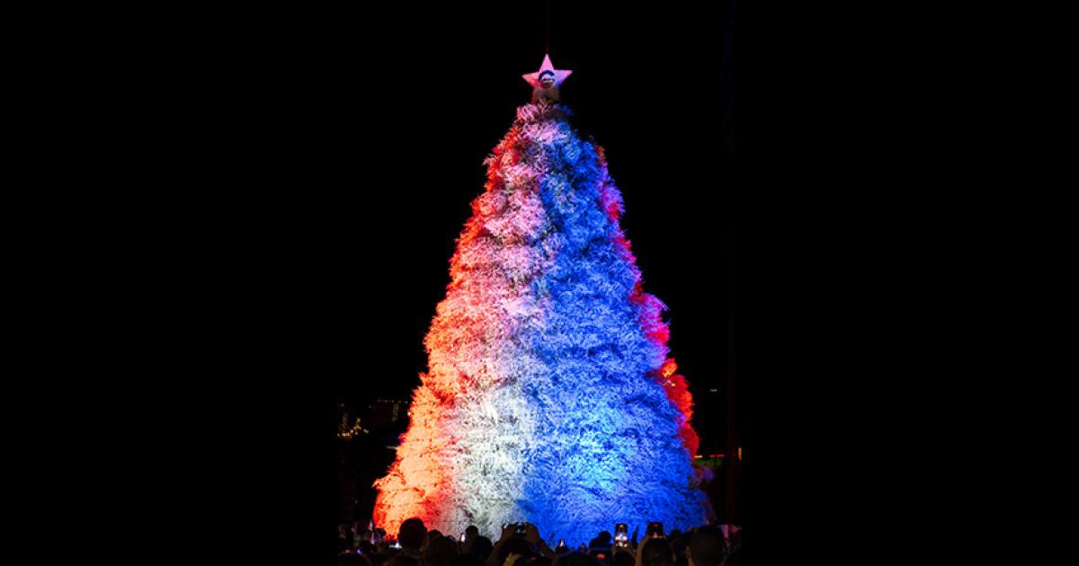 america-250-tumbleweed-tree.