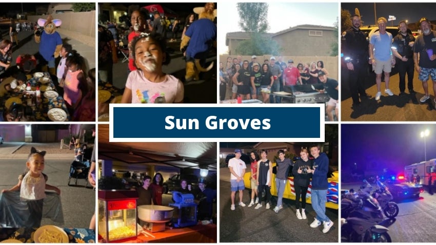 Sun Groves