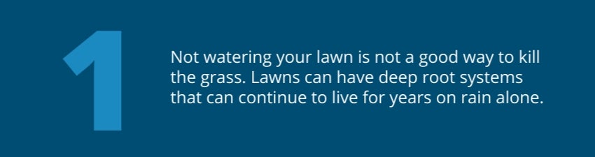Tip 1: Not watering your lawn is not a good way to kill the grass. Lawns can have deep root systems that can continue to live for years on rain alone. Tip 1: Not watering your lawn is not a good way to kill the grass. Lawns can have deep root systems that can continue to live for years on rain alone.