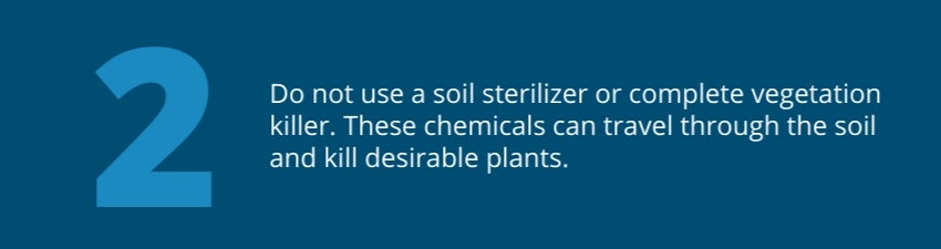 Tip 2: Do not use a soil sterilizer or complete vegetation killer. These chemicals can travel through the soil and kill desirable plants. Tip 2: Do not use a soil sterilizer or complete vegetation killer. These chemicals can travel through the soil and kill desirable plants.