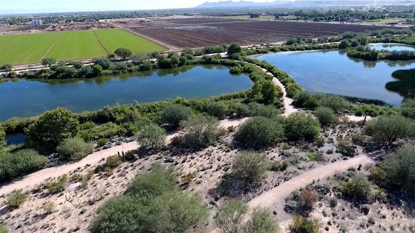 Veterans Oasis Park Recharge Basins