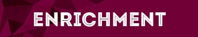 enrichment section banner