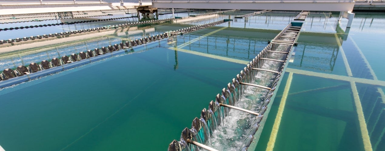 Water Plant Water Plant