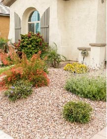 Xeriscape Yard Xeriscape Yard