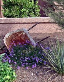 Xeriscape Water Use It Wisely
