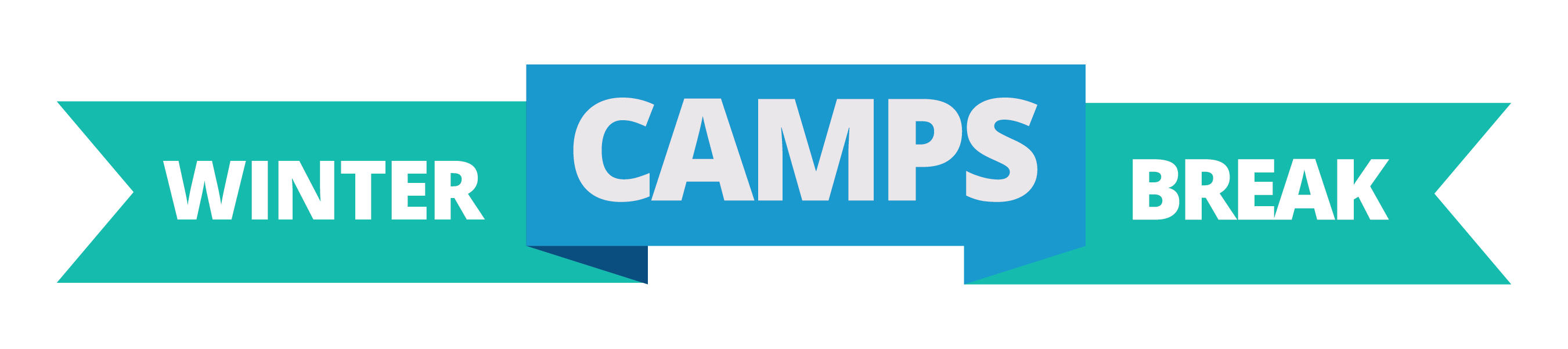 Winter Camp Banner